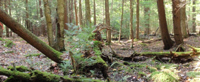 Dutch Hill Photo Featured Property